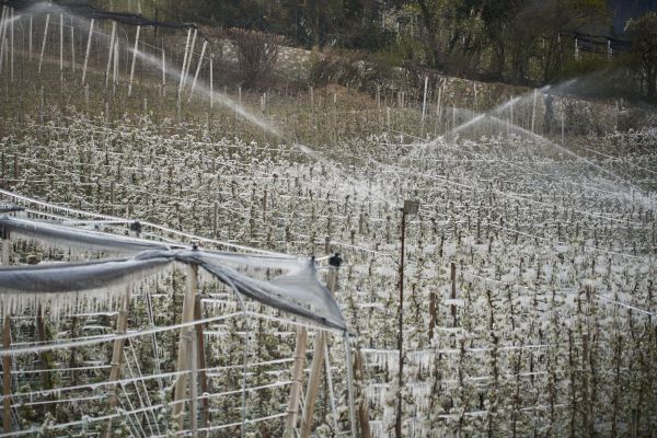 Irrigation Winterization - Irrigation Winterization Sacramento, California