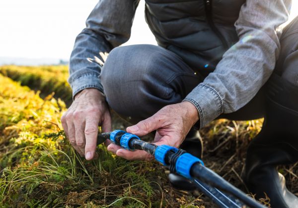 Cold Weather Irrigation